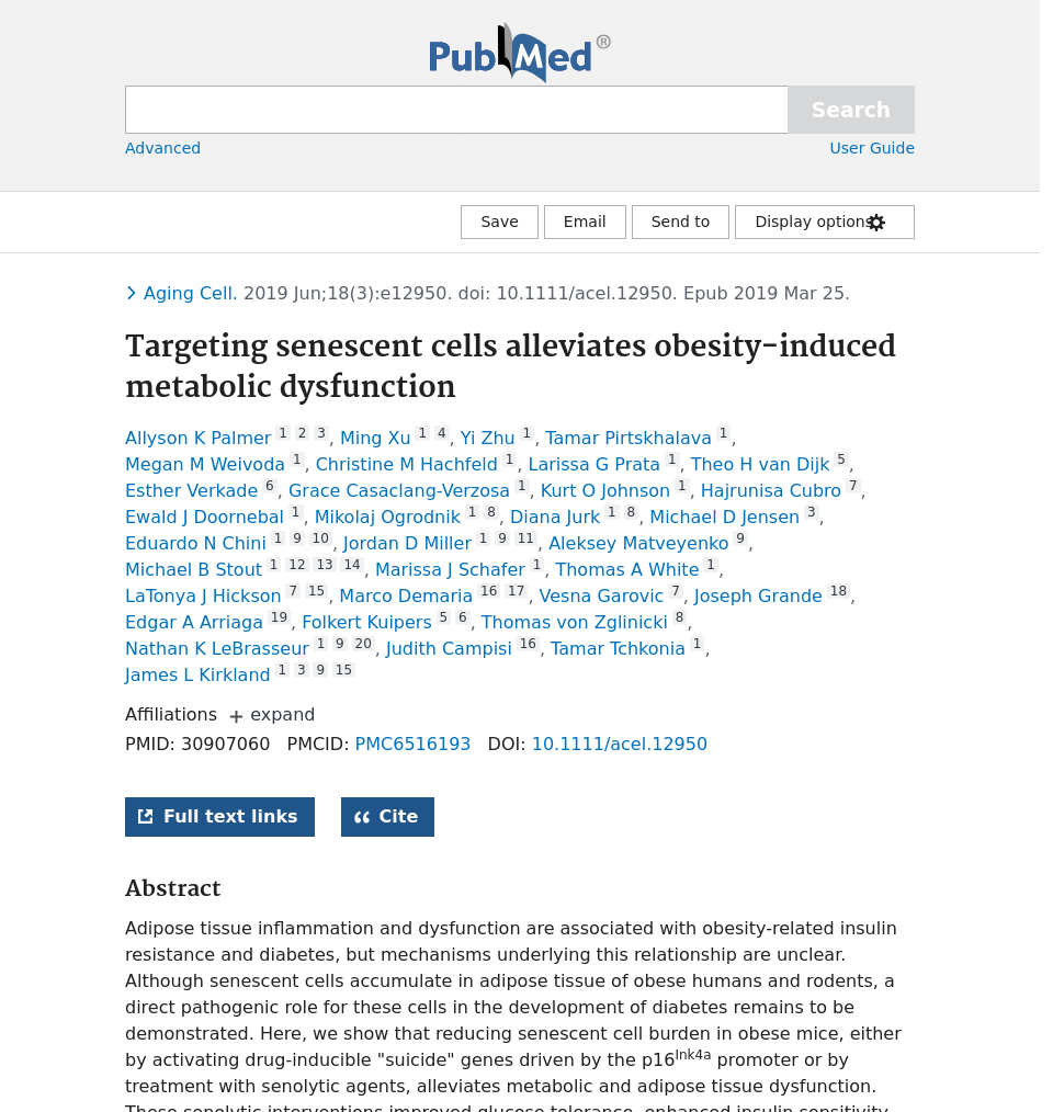 Publication Image